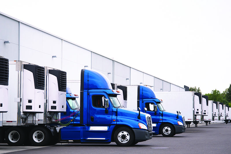 Our fleet of vehicle carriers